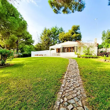 Апартаменты Flh Balaia House With Terrace Албуфейра